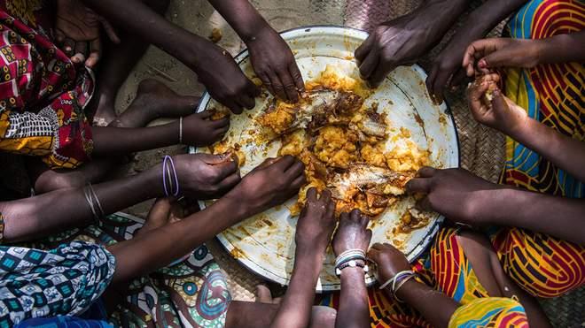 7 миллионов человек в мире погибли от голода