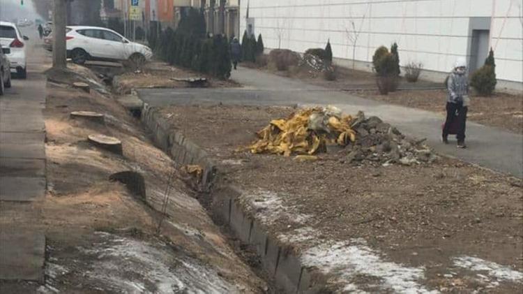 Президент РК поручил акиму Алматы расследовать факт вырубки здоровых деревьев
