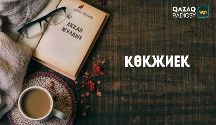 «Аққан жұлдыз» романы