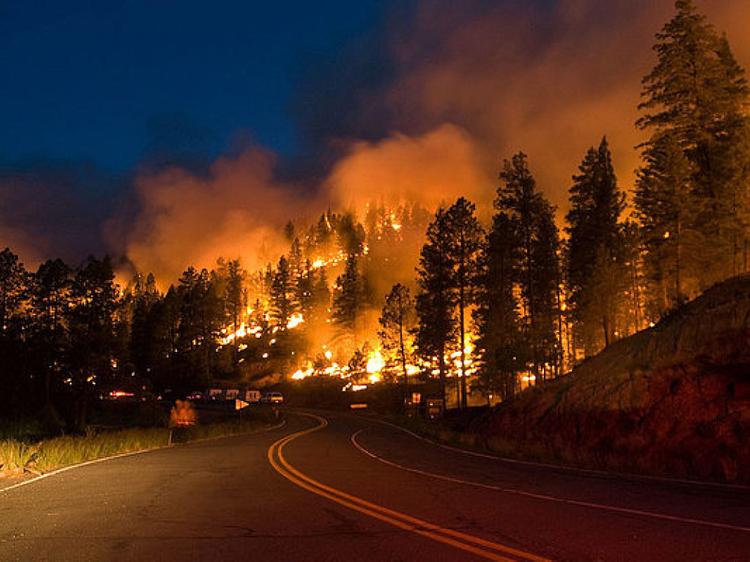 Калифорния снова в огне из-за лесных пожаров