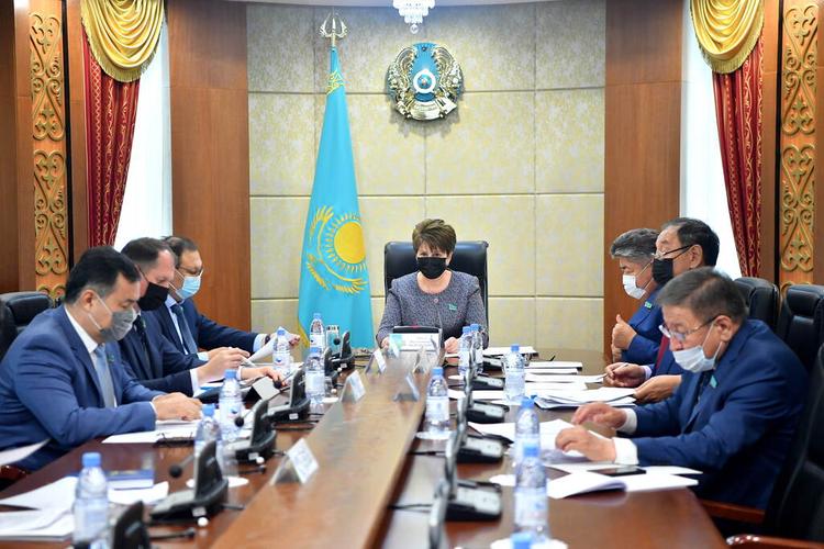 Сенаторлар Үкімет пен Есеп комитетінің бюджеттің атқарылуы туралы есептерін қарады
