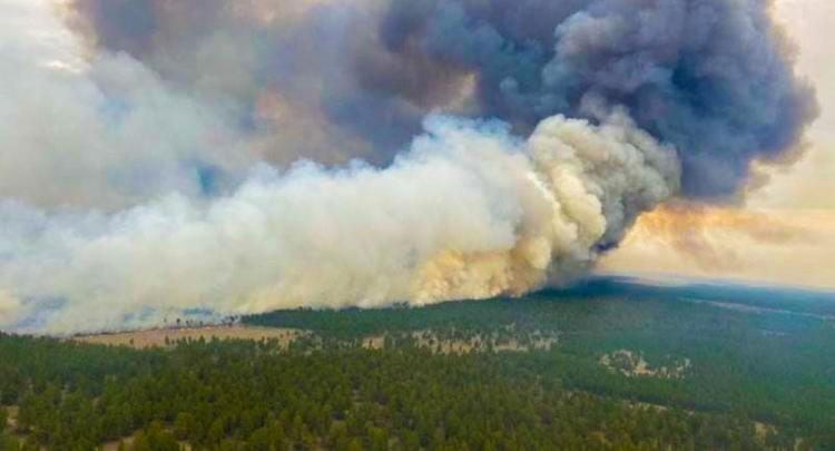 В Восточно-Казахстанской области тушат лесной пожар уже третьи сутки