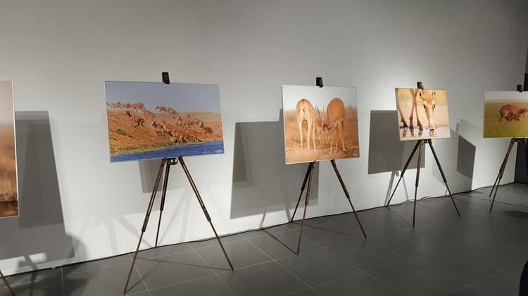 Выставку «Казахстан в фотографиях» открыли на Кубе