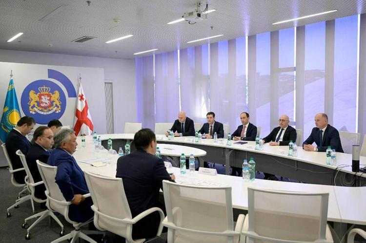 Ряд сфер двустороннего сотрудничества обсудили Казахстан и Грузия