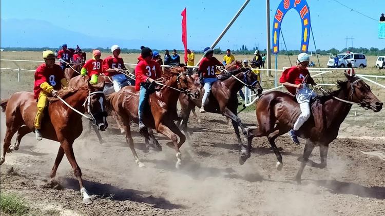 Елімізде тұңғыш республикалық ат марафон-бәйгесі өтеді