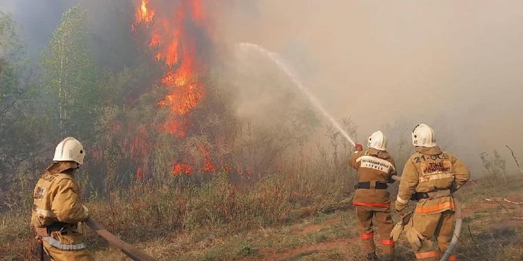 Ресейде басталған өрт Абай облысының 1100 га жерін шарпыды