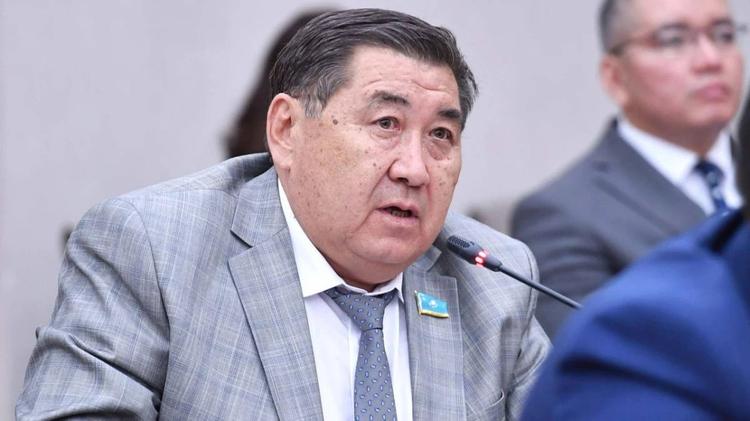 Е.Бәпи: Бұл не деген “алтын құрылыс” екенін түсінбеймін