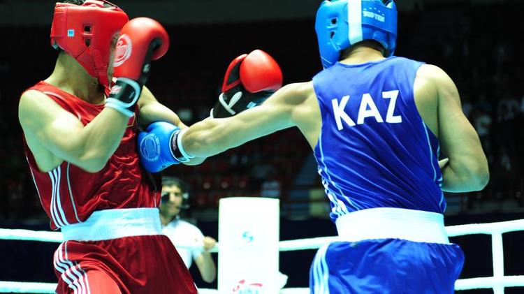 Париж Олимпиадасында медаль алған қазақстандық боксшыларға берілетін сыйақы мөлшері белгіленді