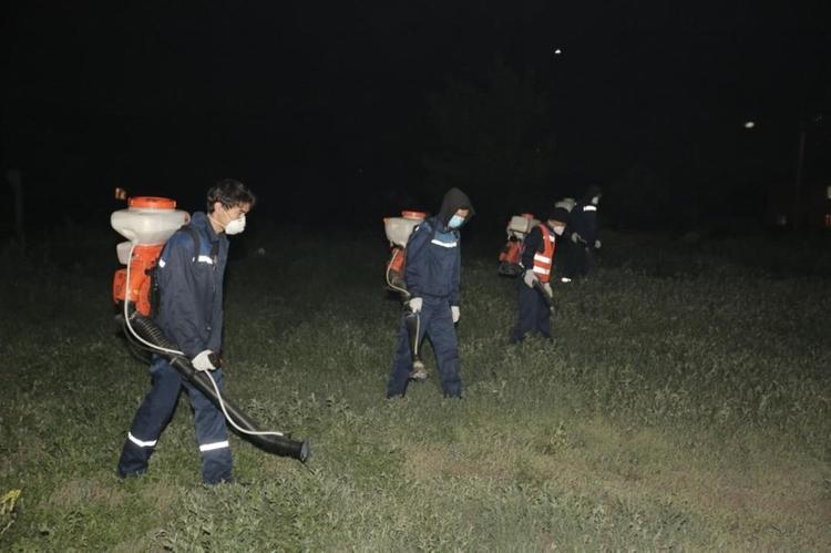 Борьбу с комарами и гнусом начали в столице