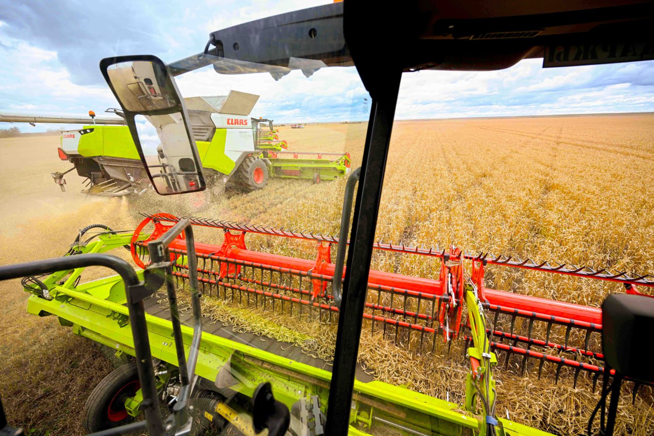 Бастық видеоны жазалады