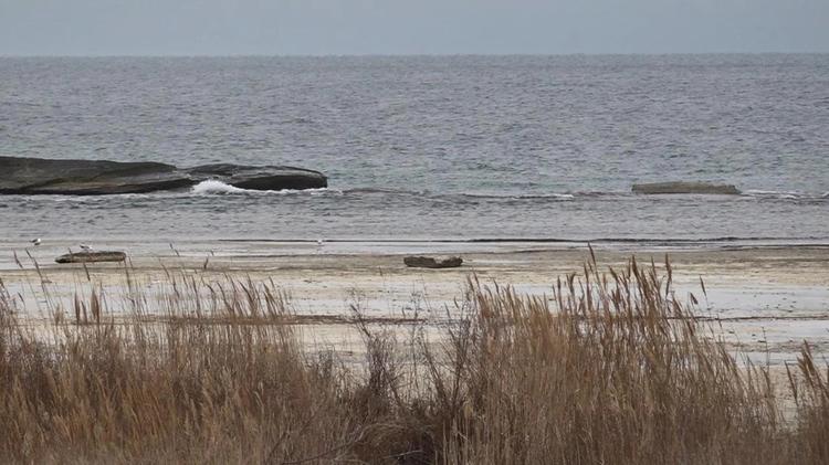 Каспий теңізінің аумағы 36 мың шаршы шақырымға азайған