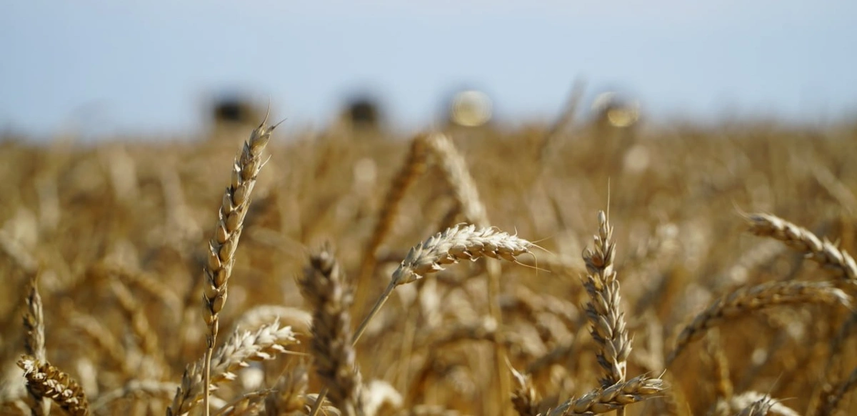 Елден 3,1 млн тонна астық экспортталды