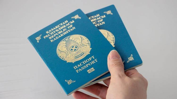 Жыл басынан бері 8 051 этникалық қазақ қандас мәртебесін алды