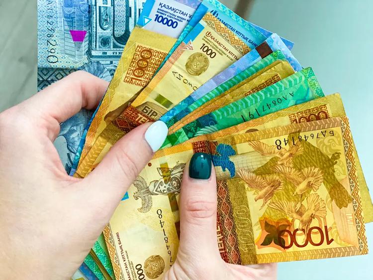 Мәжіліс ең төменгі жалақыны белгілеу туралы заңды қабылдады