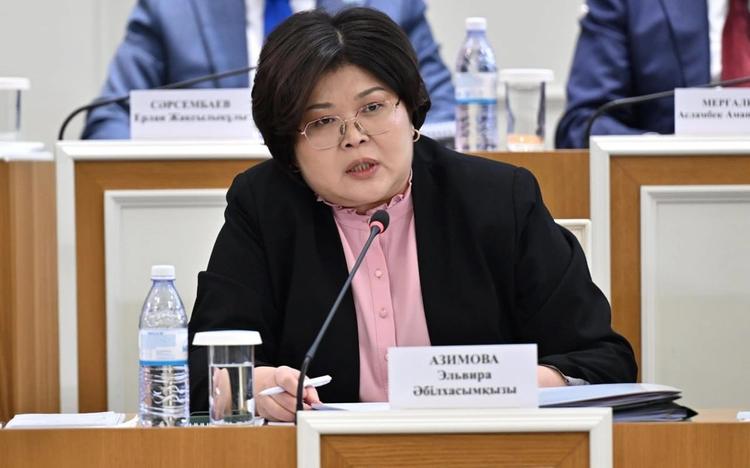 Конституция жобасына қатысты азаматтардан 5 мыңға жуық өтініш түсті – Эльвира Әзімова