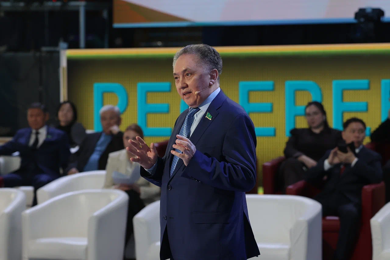 Депутат: Дамыған елдердің тәжірибесін де қолдану қажет