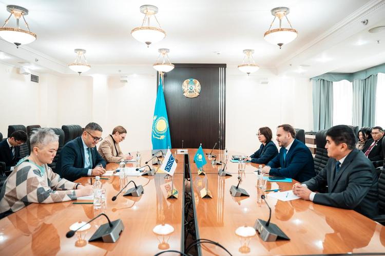 Жаңа Конституция бойынша референдумға дайындық барысы ЕҚЫҰ ДИАҚБ өкілдерімен талқыланды