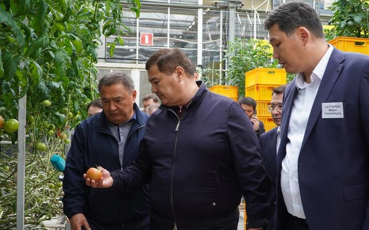 Ақмола облысында 2030 жылға дейін 47 жаңа өндіріс орнын ашу жоспарланған