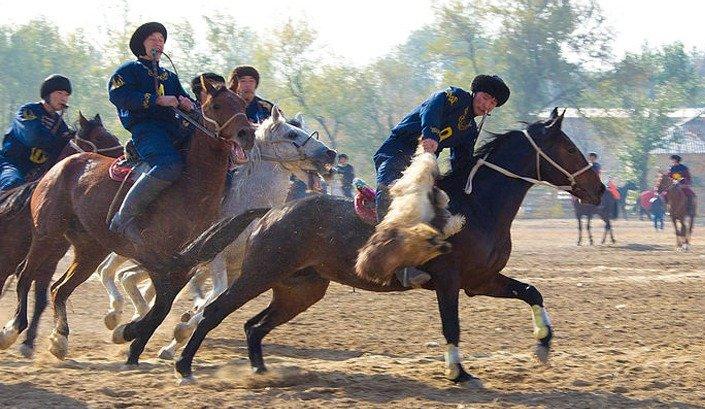 Көкпар аты қандай болу керек?
